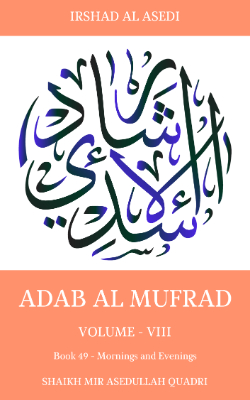 Mornings and Evenings 