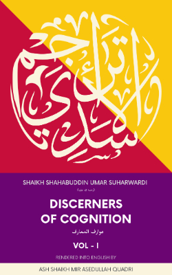 Discerners of Cognition Volume I