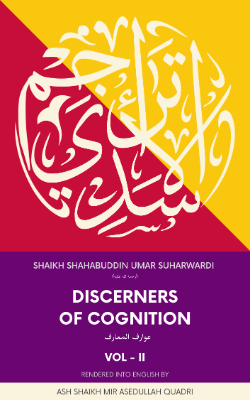 Discerners of Cognition Volume II